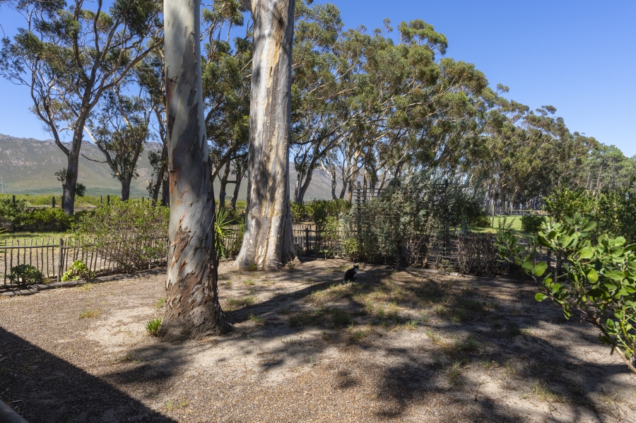 To Let 2 Bedroom Property for Rent in High Riding Country Estate Western Cape